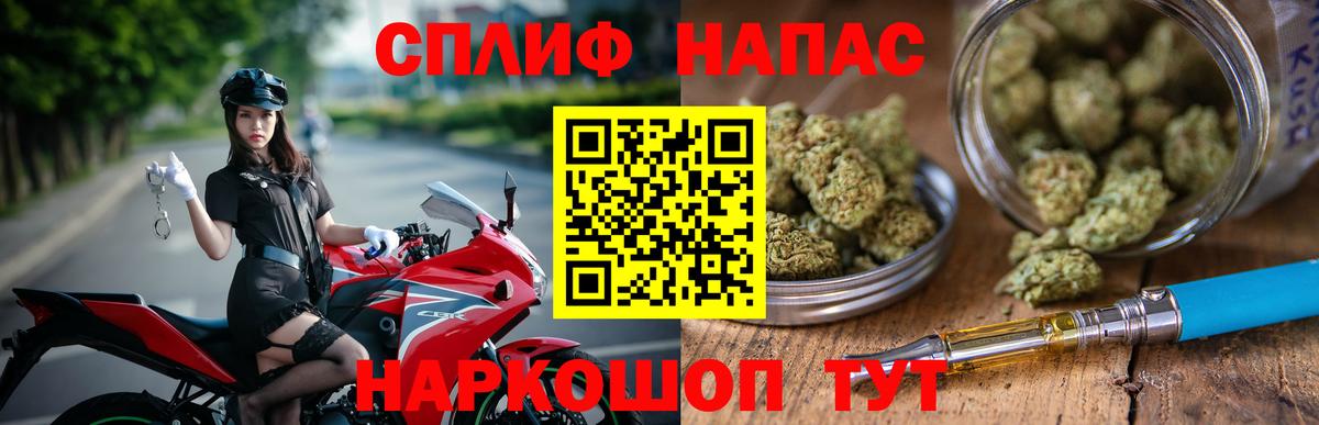 Каннабис индика Великий Устюг